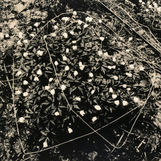 Speilbilder IV, 1986. ©Thera Mjaaland/BONO 2022